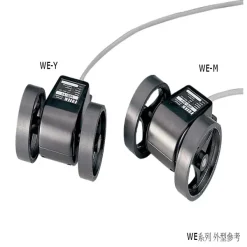 WE-Y2T Hải Phòng Tech